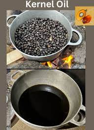 African Natural Black Palm Kernel Oil