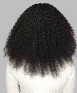 10A Afro Kinky Curly Lace Front Human Hair Wig – Pre Plucked Remy Hair