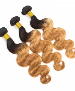 3 Bundles Pre-Colored Ombre Human Hair Body Wave Extensions