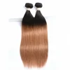3 Bundles Pre-Colored Ombre Human Hair Straight Extensions