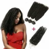 Brazilian Virgin Hair Kinky Curl with Lace Closure