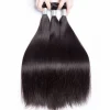 Brazilian Virgin Hair Silky Straight with Lace Closure