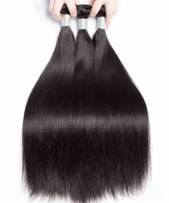Brazilian Virgin Hair Silky Straight with Lace Closure